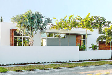 Home design - modern home design idea in Tampa