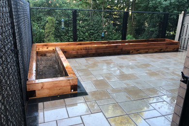 Photo of a small contemporary backyard patio in Toronto with a container garden and concrete pavers.