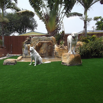 Residential Artificial Grass Lawn Pictures