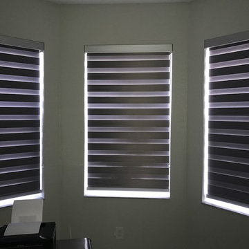Zebra Illusion Shades - Wilton Manors, Florida