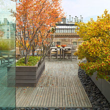 Roof garden