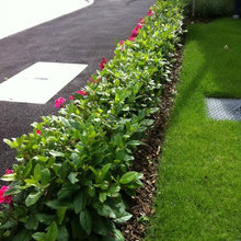 Front Flower Bed