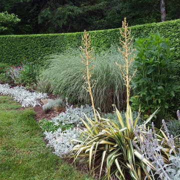 My Garden