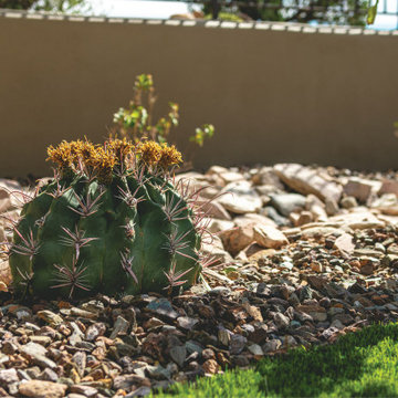 Sustainable Desert Serenity in Scottsdale