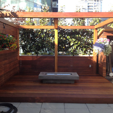 Ron's Rooftop Penthouse Ipe Deck