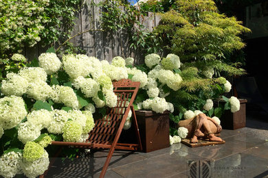 This is an example of a contemporary garden in Paris.