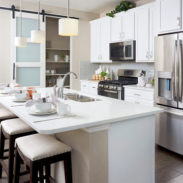 Coral Model Home in Colorado