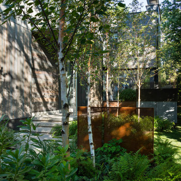 Birch Grove