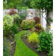 garden by Fence