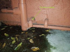 Water dripping from a small pipe outside the house
