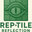 Rep*Tile Reflection