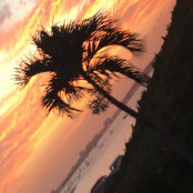 Foto di Allison Poulos