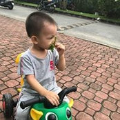 Thư Bùis billede