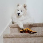 Angel Smith's photo