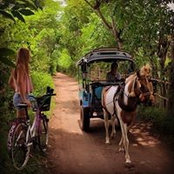Hallie Wolfson's photo