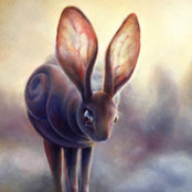 Kate Crosgrove's photo