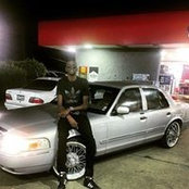 Vandy Williamsさんの写真