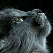 Alejandro Raimondi's photo