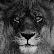 Maureen Newton's photo