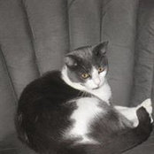 Lisa Kutay's photo