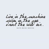 Liz Vedder's photo