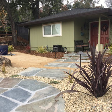 Contemporary Front Yard