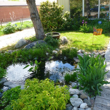 Demonstration Ponds