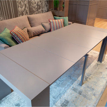 TV show: Apartment Renovation