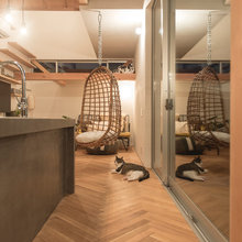 Houzzツアー：猫との出会いが家づくりのきっかけに。一緒に楽しく暮らす工夫満載の住まい