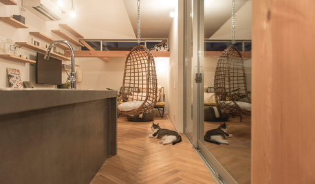 Houzzツアー:猫との出会いが家づくりのきっかけに。一緒に楽しく暮らす工夫満載の住まい