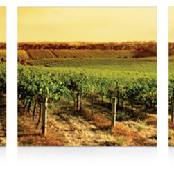 In The Vine - Artwork