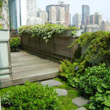 City Gardens