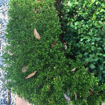 A Garden Design in the Round