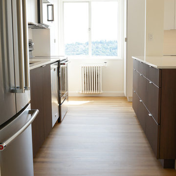 Queen Anne Condo Kitchen