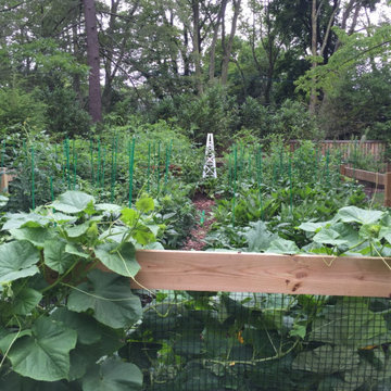 Vegetable & Herb Gardens