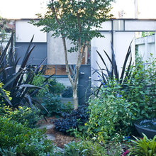 RENOVATION