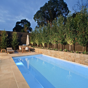 Classic family pool and landscape