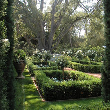Rose Garden And Picnic Area