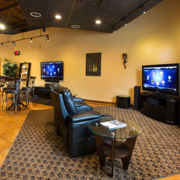 Home Theater Lighting Professionals