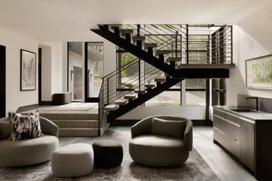 Large minimalist dark wood floor and black floor basement photo in Other with white walls