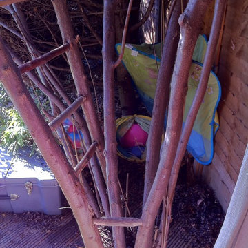 The Treehouse
