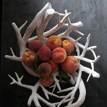 Inspiration for Interior Space