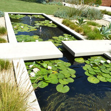 Garden ideas