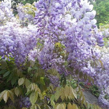 Madeira Park