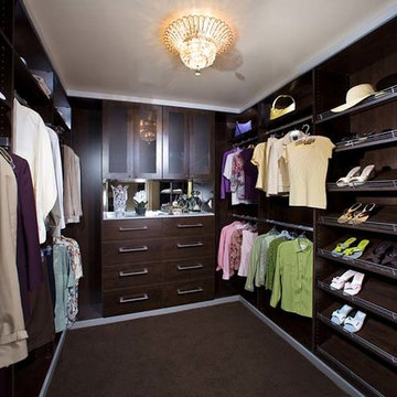 Transitional Closet
