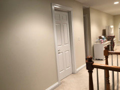 Benjamin Moore experts White Down Feather Down or other