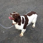 Don McGurgan's photo
