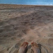 Sara Carbone's photo