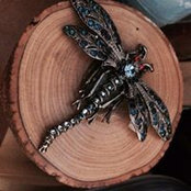Anne Knox's photo