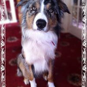 Dawn Symes's photo